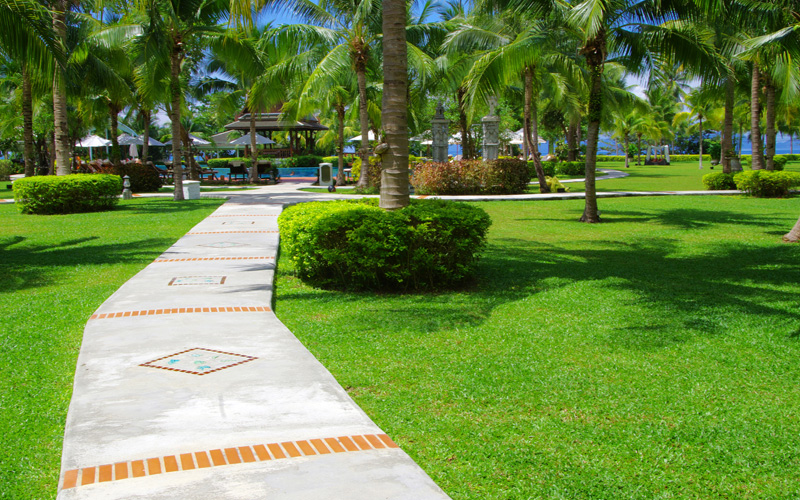 Commercial landscaping