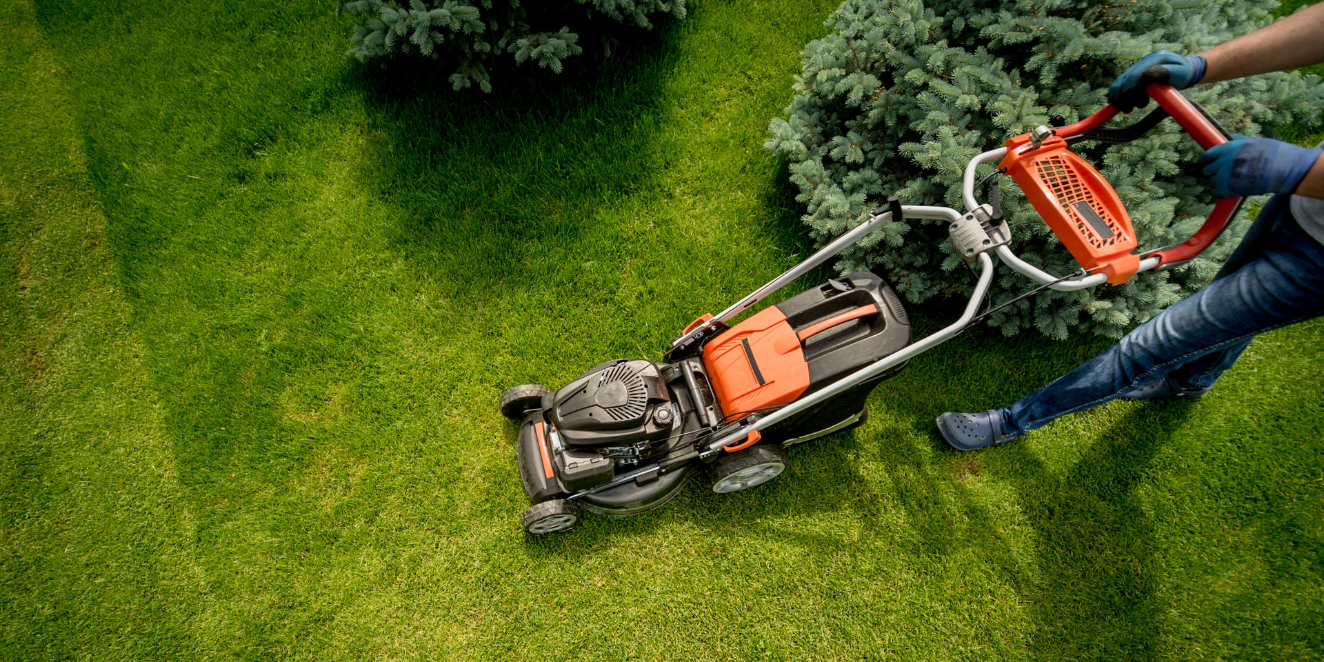 Lawn care and maintenance