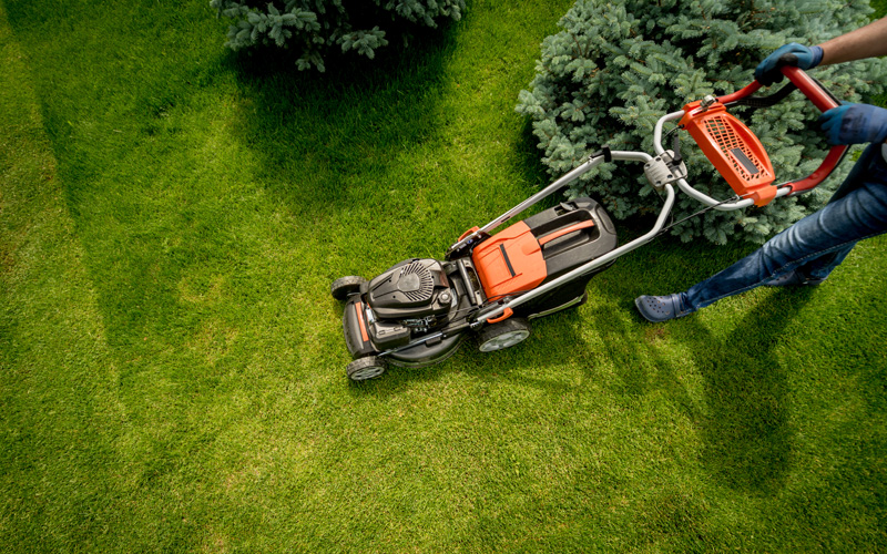 Garden maintenance services