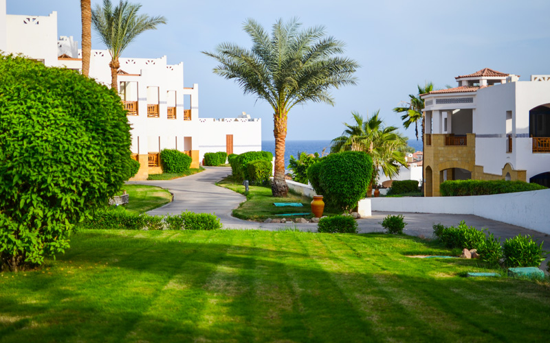Landscaping services